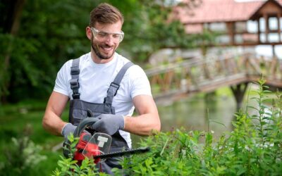 L’Importanza di un Corso per Diventare Manutentore del Verde: Competenze e Opportunità